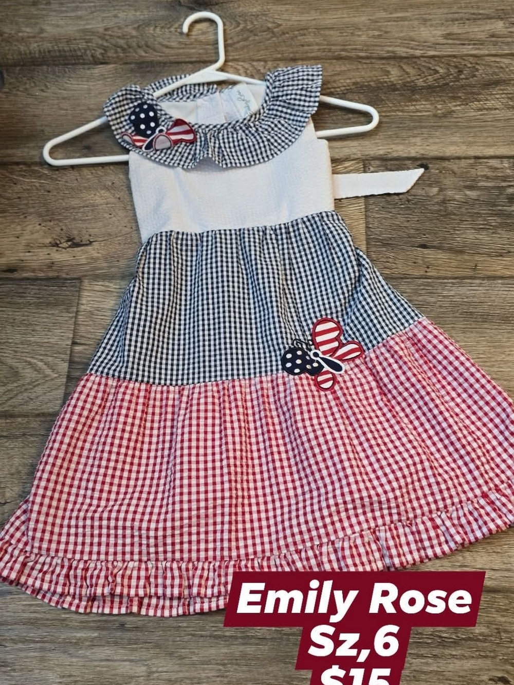Emily Rose Red, Navy & White Gingham Butterfly Dress